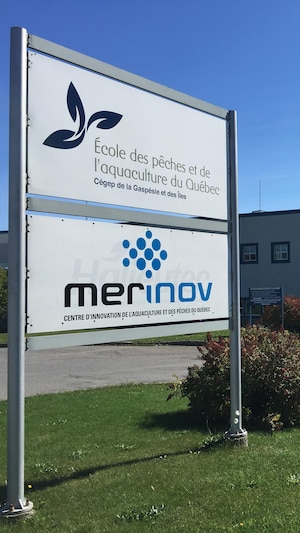L'école des pêches et de l'aquaculture de Grande-Rivière.