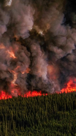 Photo d'un feu de forêt.