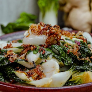 Des bok choys sont disposés dans une assiette creuse.