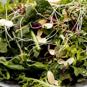 Salade d’épinards et de pousses de moutarde d’Émilie Rizzetto.