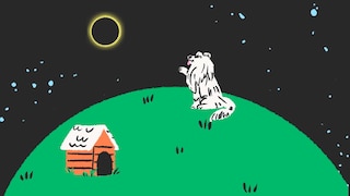 Une illustration d'un chien sur une colline à côté de sa niche qui observe une éclipse solaire. 