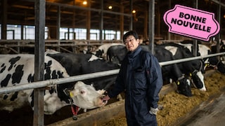 Un éléveur de vaches laitières au Japon est debout devant une douzaine de ses bêtes, à côté du collant Bonne nouvelle de MAJ.