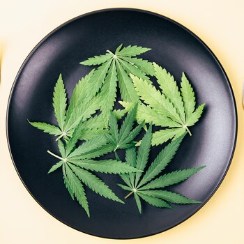 Une assiette contient des feuilles de cannabis. 