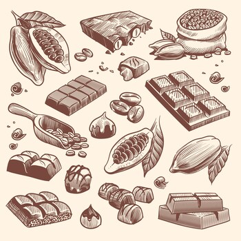 Illustrations de cacao et de chocolat.