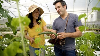 Une femme et un homme dans une serre de légumes asiatiques.