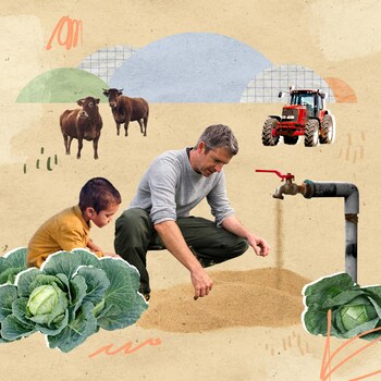 Visuel de plusieurs éléments liés à l'alimentation et à la sécheresse : des animaux, des légumes, des humains et un tuyau d'où il sort du sable.