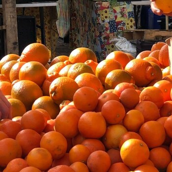 Étal de marché extérieur avec des oranges.