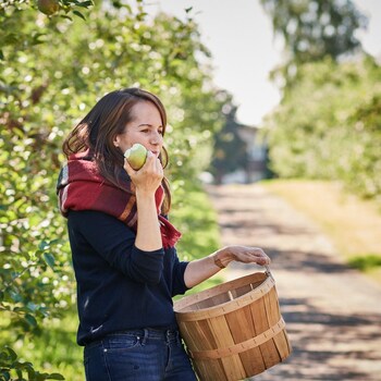 Geneviève est parmi les pommiers et elle tient dans sa main gauche un panier et dans sa main droite une pomme qu'elle est en train de manger.