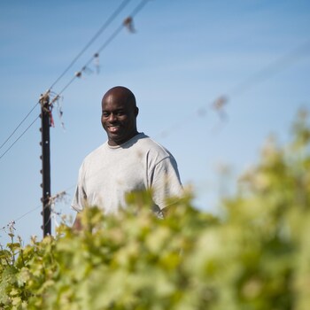 Portrait du vigneron Steve Byfield dans un vignoble.