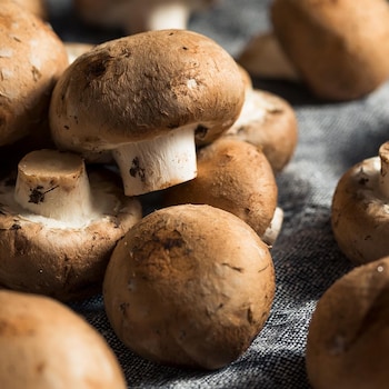 Des champignons les uns par-dessus les autres.