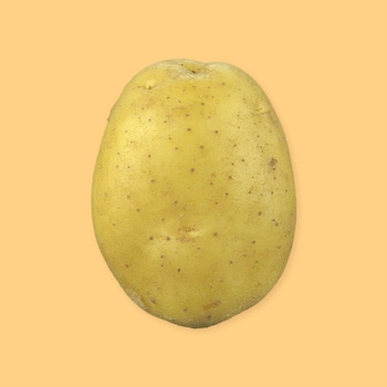 Une pomme de terre sur un fond jaune.