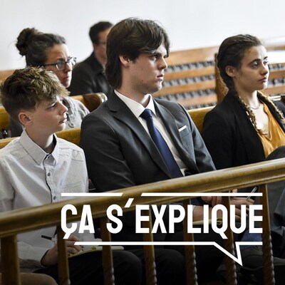 Quatre jeunes plaignants assis en rangée sur un banc écoutent les arguments présentés lors d'une audience à la cour.