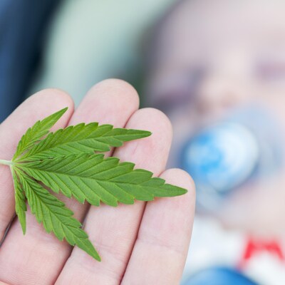 Une feuille de cannabis dans une main devant un enfant.