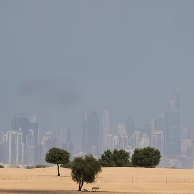 Des arbres se dressent sur le sable devant un profil enfumé de la ville de Dubai, aux Émirats arabes unis.