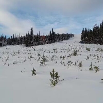 Une piste de ski. 