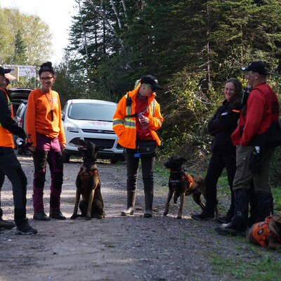 Cinq personnes et trois chiens se préparent à participer aux recherches pour retrouver Nadia Lantin.