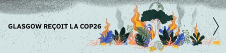 Représentation d'une forêt en feu.