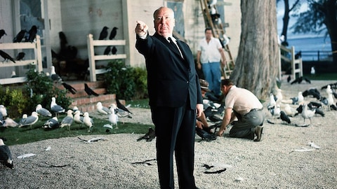 Alfred Hitchcock sur le tournage de son film Les oiseaux.