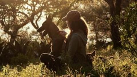 Une femme et son chien contemplent l'horizon