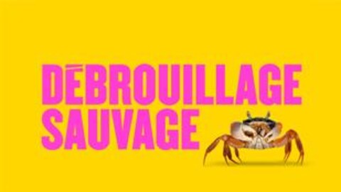 Le visuel du Débrouillage sauvage qui met en scène un crabe sur fond jaune.