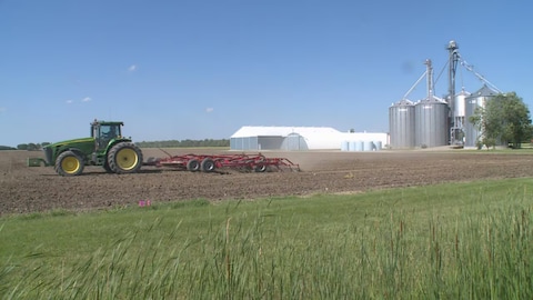 Un tracteur travaille un champ dans le comté d'Essex, en Ontario, avec des silos et bâtiments agricoles en arrière-plan. 