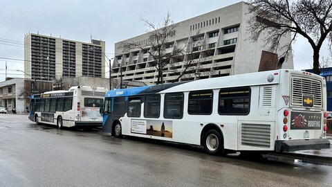 Des autobus de la Ville de Saskatoon, en Saskatchewan, le 3 mai 2024.