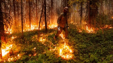 A firefighter from an Alaska smoke jumper unit uses a drip torch to set a planned ignition on a fire burning near a highway in northern British Columbia on July 11, 2023.