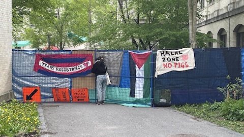 Nuevo campamento pro-palestino en Montreal