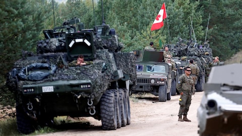 Des véhicules militaires transportent des soldats canadiens