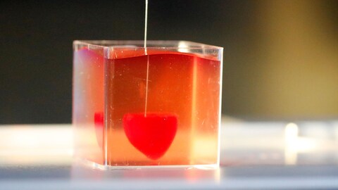 Démonstration de l'imprimante au travail.