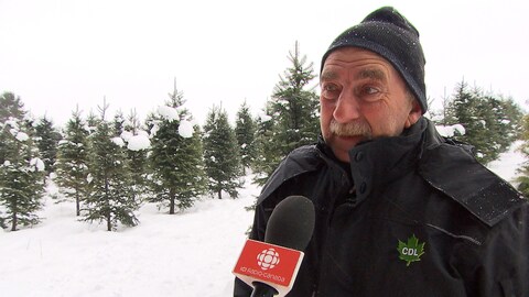 Daniel Bélanger cultive des sapins depuis 1988. Daniel Bélanger cultive des sapins depuis 1988.