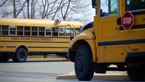 Deux autobus scolaires stationnés près d'une école.