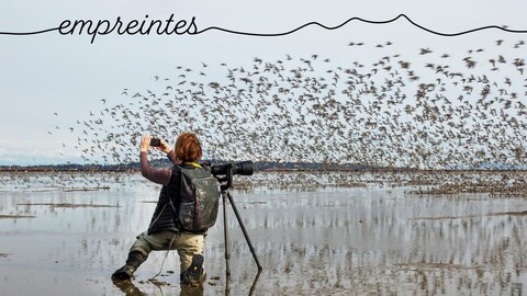 La photographe Isabelle Groc photographie une nuée d'oiseaux qui s'envolent, sur une rive.