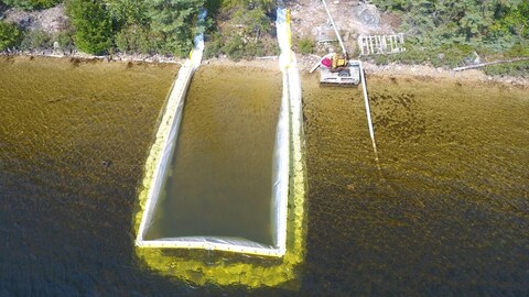 Une zone d'un lac près de la rive délimitée par une barrière.