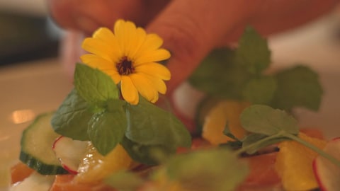 Gros plan de la main d'un cuisinier qui dépose une fleur dans une assiette. 