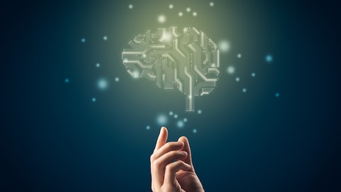 Une main pointe un cerveau.
