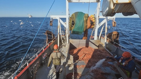 Des pêcheurs au travail sur un bateau de pêche à la crevette.