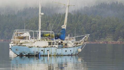 Un bateau abandonné recouvert de mousse à plusieurs endroits.