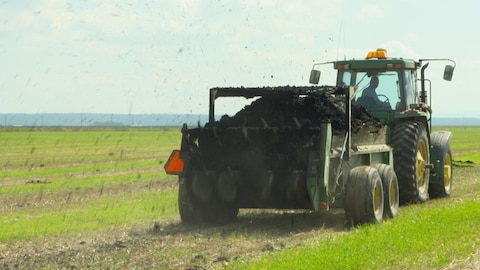 Un tracteur épand des boues dans un champ agricole.