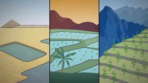 Image infographique de différentes méthode d'irrigation des terres agricoles.