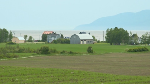 Paysage agricole de L'Isle-aux-Coudres, dans Charlevoix.