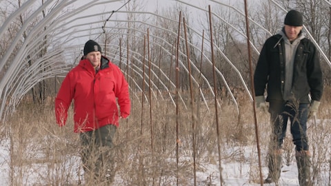 Marjolaine Poulin-Turcotte et Alain Boucher marchent dans leur champ en hiver.