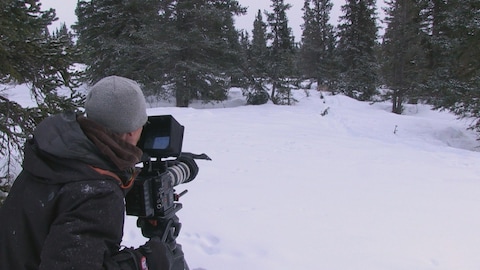 Un caméraman dans la forêt en hiver filme un lynx.