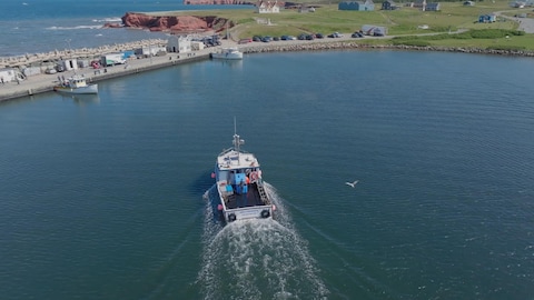 Un bateau de pêche au homard arrive au quai.