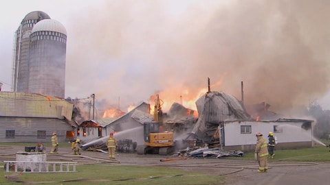 Les bâtiments d'une ferme laitière sont en feu.