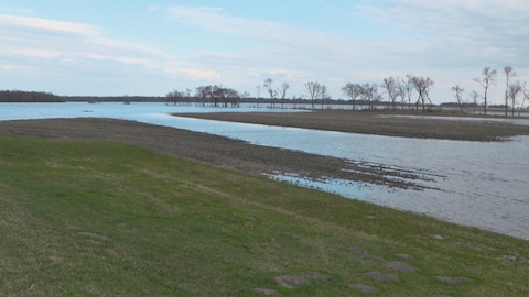 Champ agricole inondé dans la région de Letellier au Manitoba.