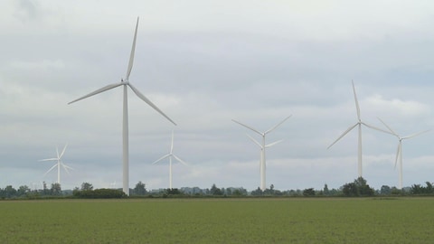 Plusieurs éoliennes dans un champ en Ontario.