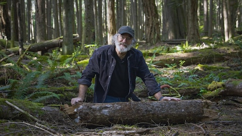 Paul Stamets dans sa  forêt expérimentale sur une île de Colombie Britannique.