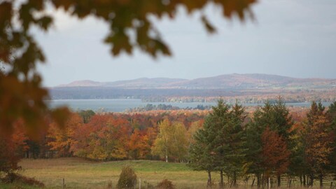 Paysage d'automne, vue d'un plan d'eau bordé de forêt et d'un champ agricole.