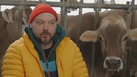 Justin Laramée en entrevue pour La semaine verte dans une étanle avec des vaches.